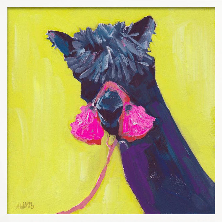 Black Alpaca - Square Stretched Canvas, Poster or Fine Art Print I Heart Wall Art