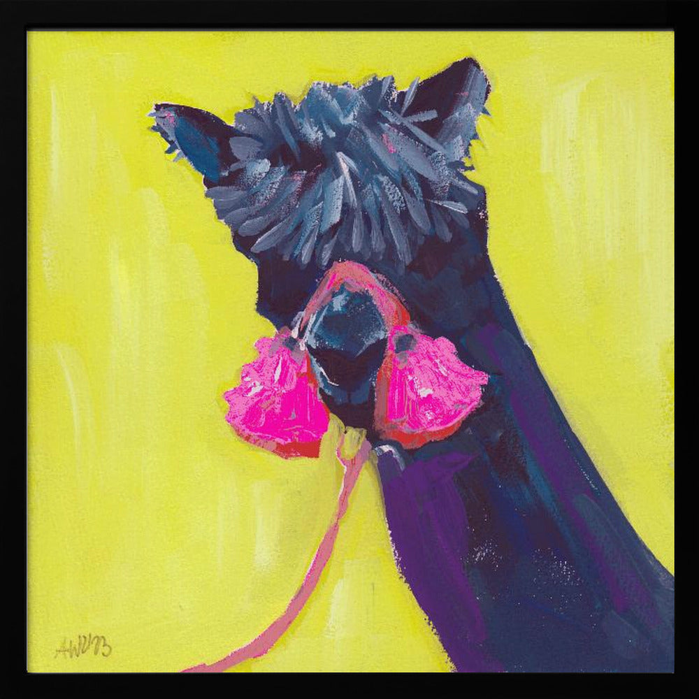 Black Alpaca - Square Stretched Canvas, Poster or Fine Art Print I Heart Wall Art