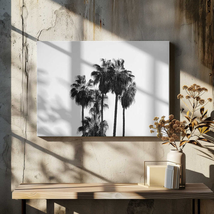 Black and White Palmtrees - Stretched Canvas, Poster or Fine Art Print - I Heart Wall Art - Poster Print, Canvas Print or Framed Art Print