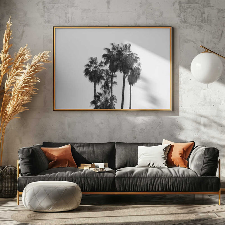 Black and White Palmtrees - Stretched Canvas, Poster or Fine Art Print - I Heart Wall Art - Poster Print, Canvas Print or Framed Art Print
