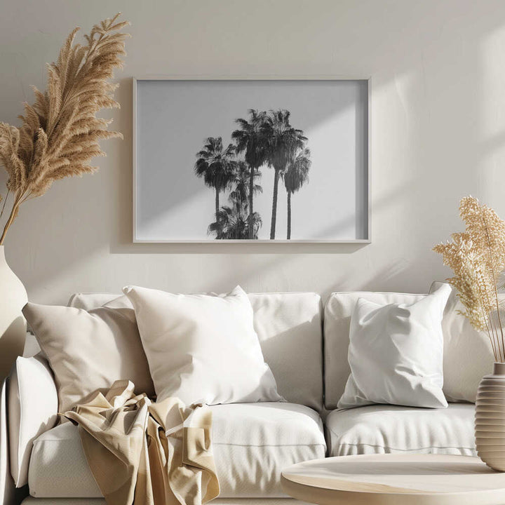 Black and White Palmtrees - Stretched Canvas, Poster or Fine Art Print - I Heart Wall Art - Poster Print, Canvas Print or Framed Art Print