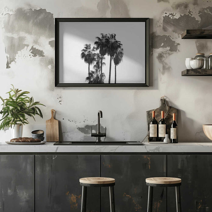 Black and White Palmtrees - Stretched Canvas, Poster or Fine Art Print - I Heart Wall Art - Poster Print, Canvas Print or Framed Art Print
