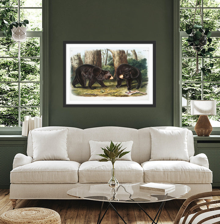 Black Bears by John Woodhouse Audubon - American Natural History Stretched Canvas or Art Print