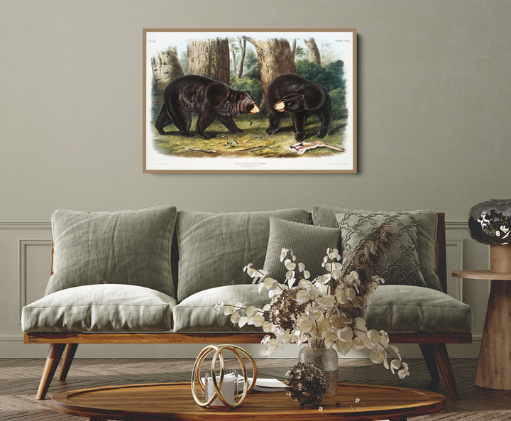 Black Bears by John Woodhouse Audubon - American Natural History Stretched Canvas or Art Print