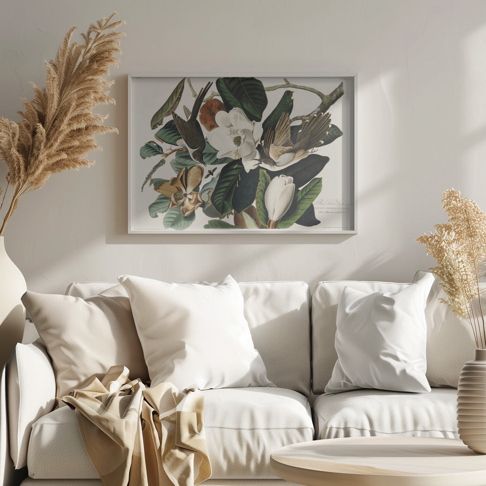 Black Billed Cuckoo From Birds of America (1827) - Stretched Canvas, Poster or Fine Art Print I Heart Wall Art