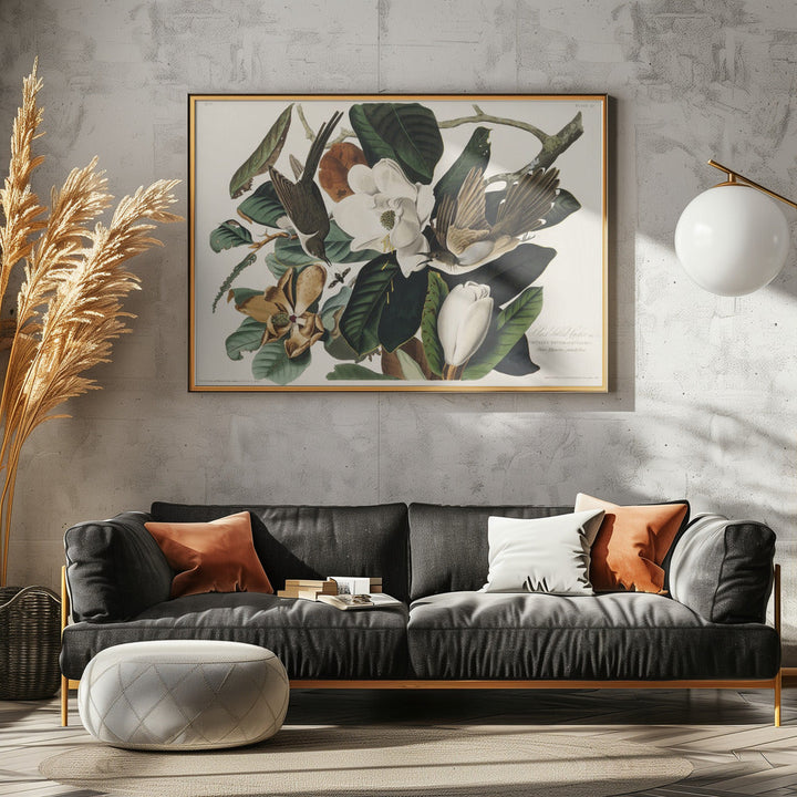 Black Billed Cuckoo From Birds of America (1827) - Stretched Canvas, Poster or Fine Art Print I Heart Wall Art