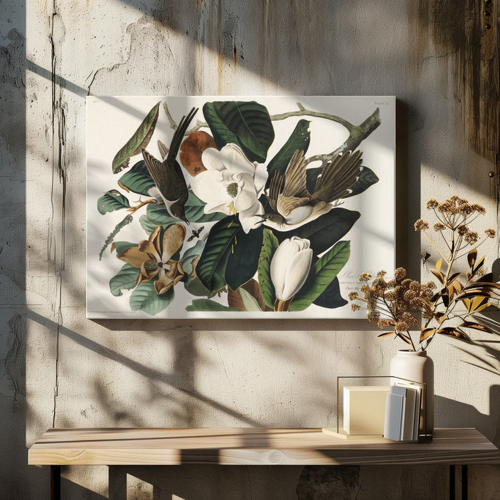 Black Billed Cuckoo From Birds of America (1827) - Stretched Canvas, Poster or Fine Art Print I Heart Wall Art