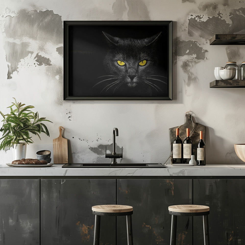 Black Cat - Stretched Canvas, Poster or Fine Art Print I Heart Wall Art