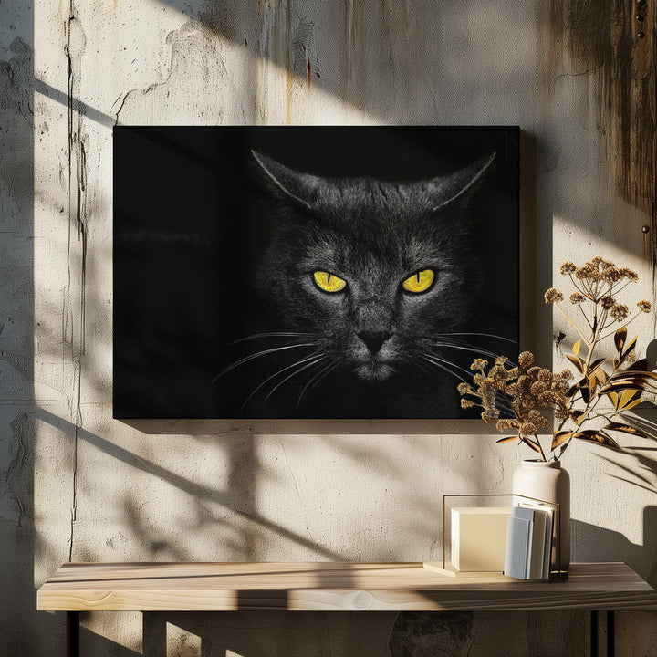 Black Cat - Stretched Canvas, Poster or Fine Art Print I Heart Wall Art