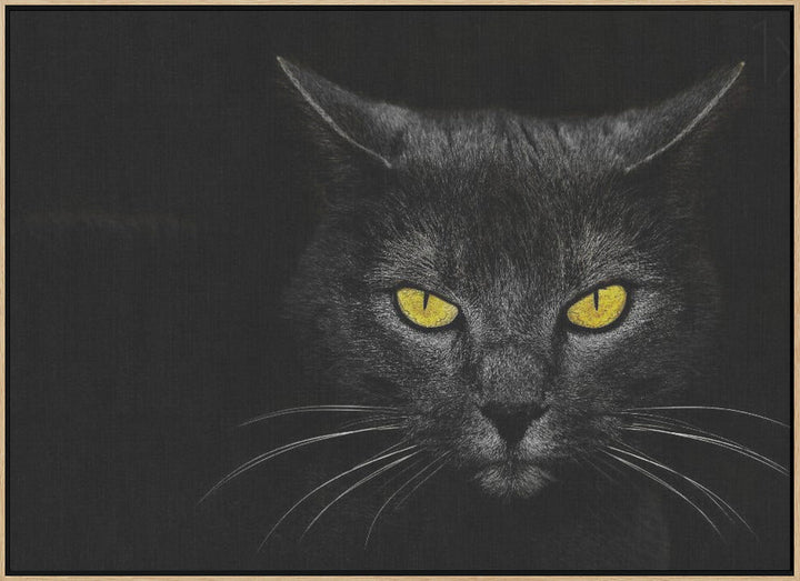 Black Cat - Stretched Canvas, Poster or Fine Art Print I Heart Wall Art