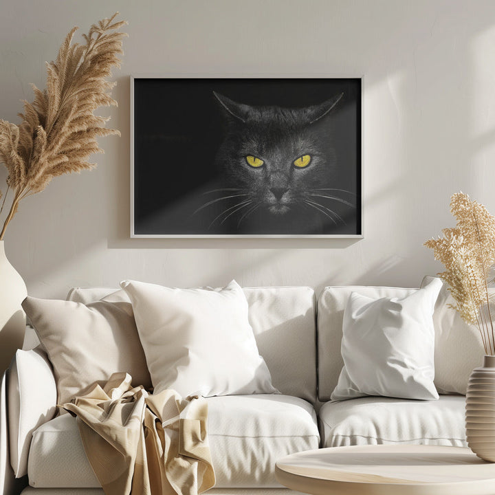 Black Cat - Stretched Canvas, Poster or Fine Art Print I Heart Wall Art