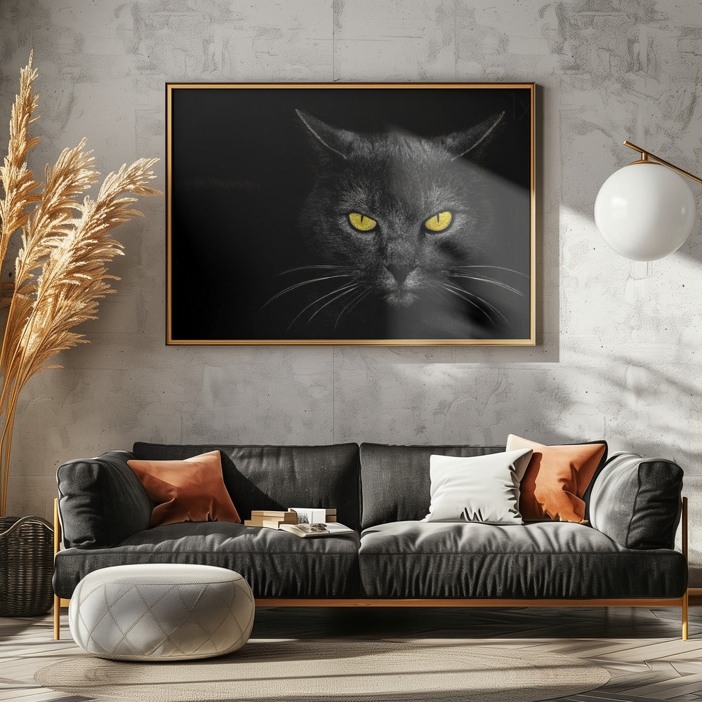 Black Cat - Stretched Canvas, Poster or Fine Art Print I Heart Wall Art