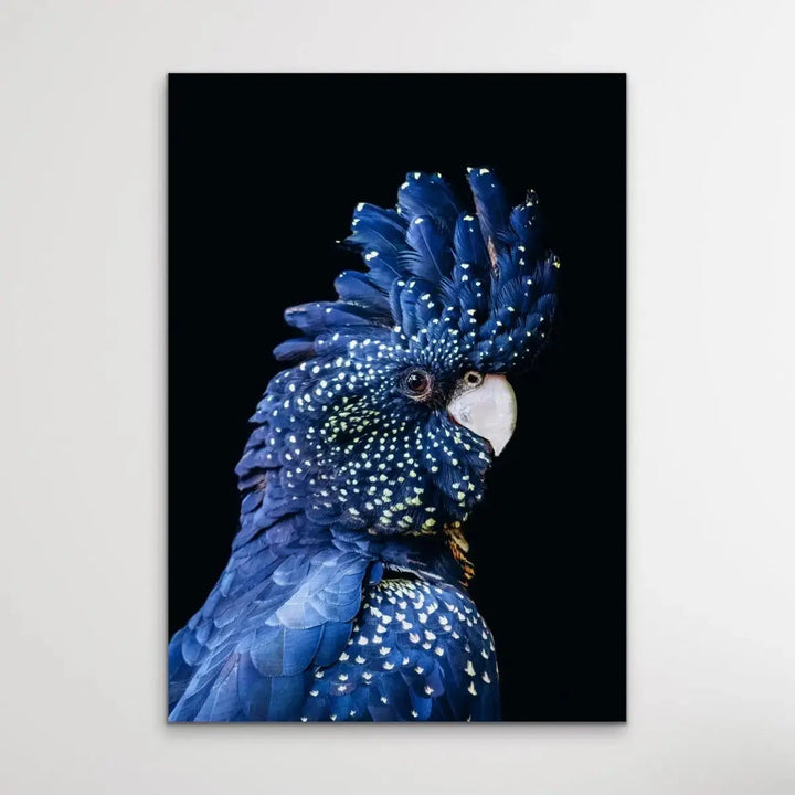 Black Cockatoo on Black - Black Cockatoo Wall Art Print Stretched Canvas Wall Art - I Heart Wall Art - Poster Print, Canvas Print or Framed Art Print