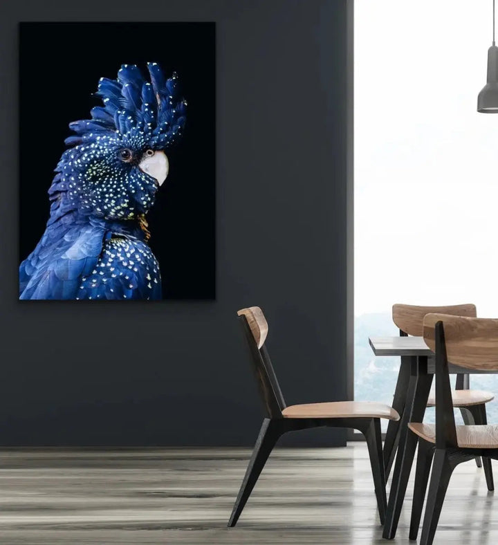 Black Cockatoo on Black - Black Cockatoo Wall Art Print Stretched Canvas Wall Art - I Heart Wall Art - Poster Print, Canvas Print or Framed Art Print