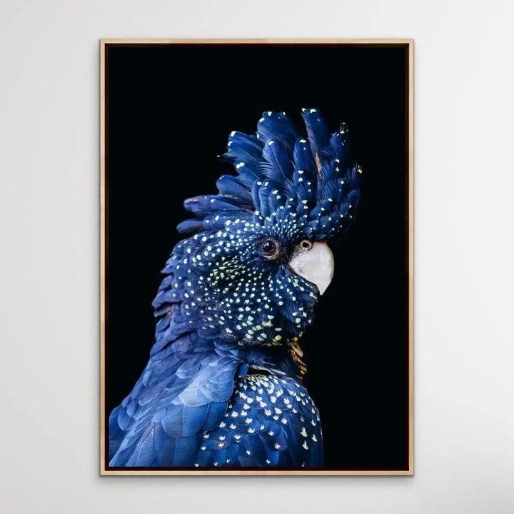 Black Cockatoo on Black - Black Cockatoo Wall Art Print Stretched Canvas Wall Art - I Heart Wall Art - Poster Print, Canvas Print or Framed Art Print