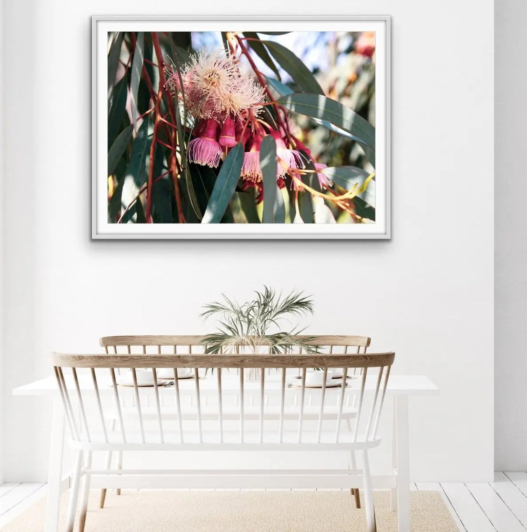 Blossom Days - Australian Nature Eucalyptus Flower Gum Tree Print - Nature Wall Art - I Heart Wall Art - Poster Print, Canvas Print or Framed Art Print