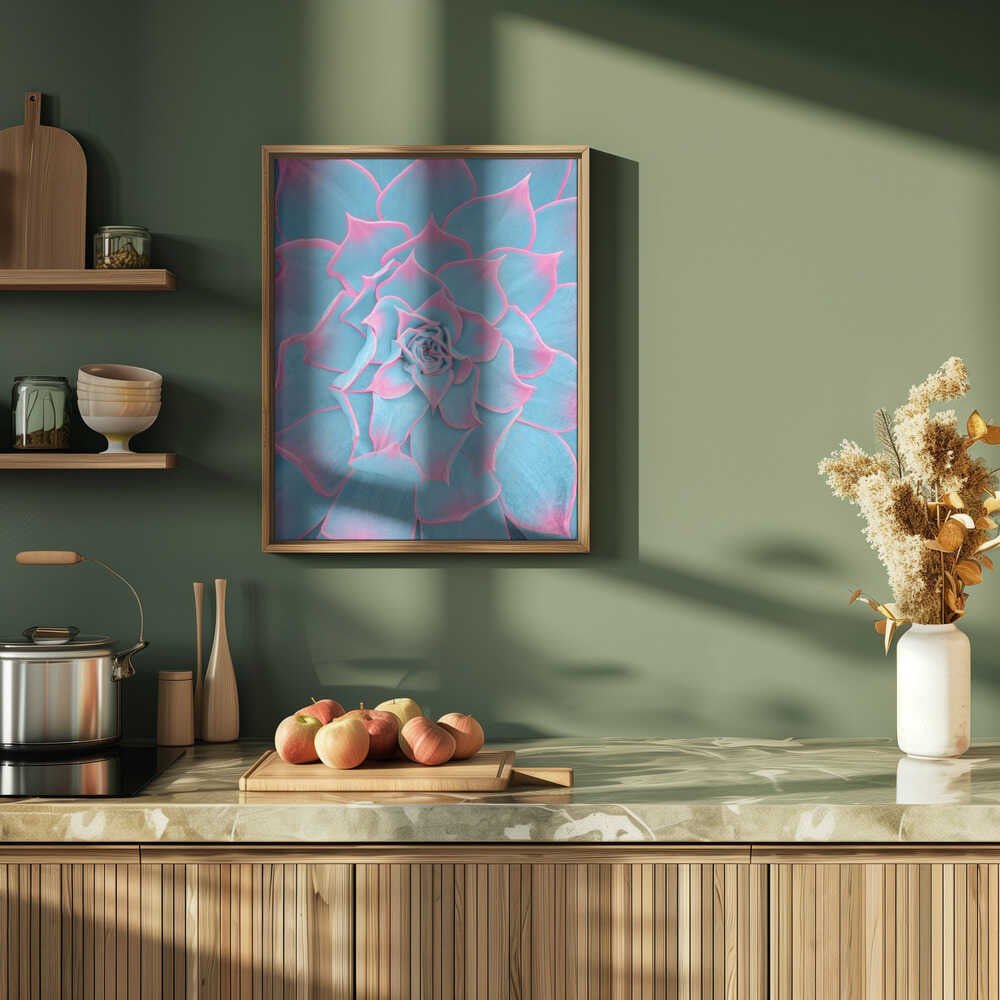 Blue and Pink Succulent - Stretched Canvas, Poster or Fine Art Print - I Heart Wall Art - Poster Print, Canvas Print or Framed Art Print