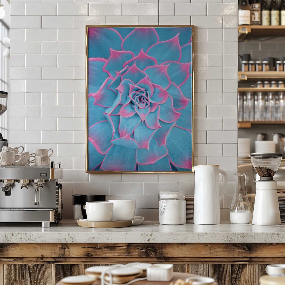 Blue and Pink Succulent - Stretched Canvas, Poster or Fine Art Print - I Heart Wall Art - Poster Print, Canvas Print or Framed Art Print