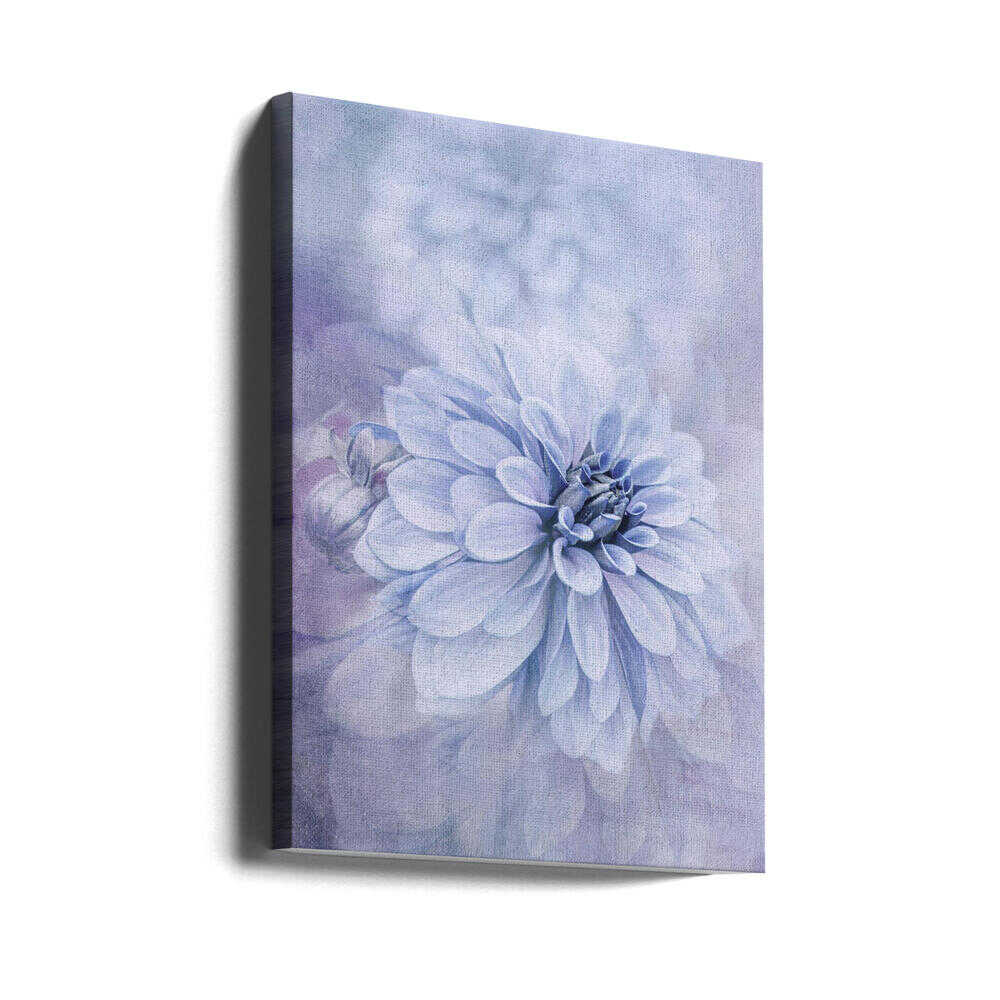 Blue Dahlia Dream - Floral Photographic Stretched Canvas Poster or Fine Art Print