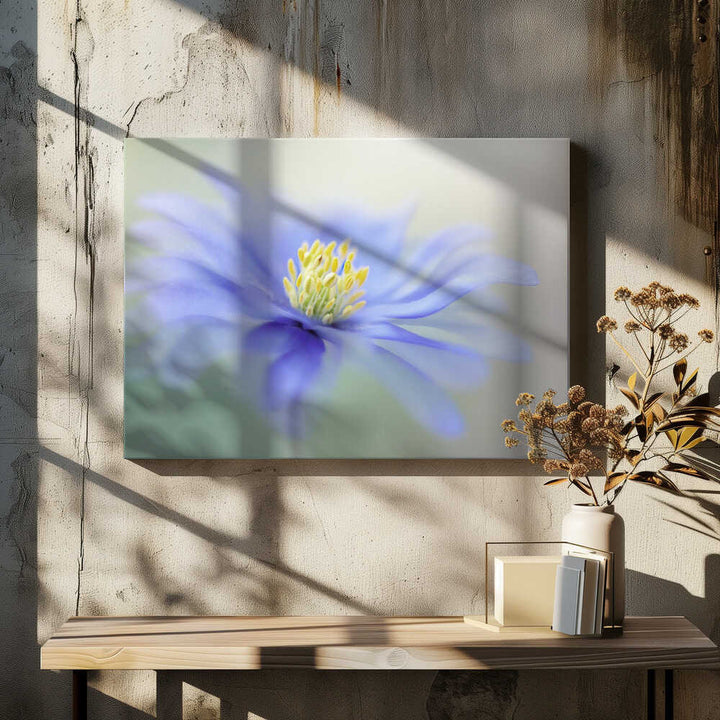 Blue Dreamy Bloom - Floral Photographic Stretched Canvas Poster or Fine Art Print