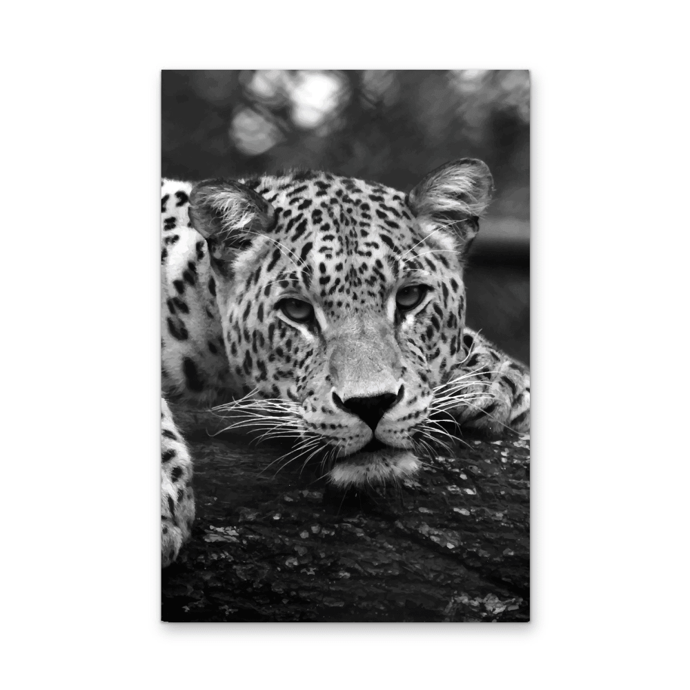Blue Eyed Leopard - Black and White Animal Stretched Canvas or Wall Art Print - I Heart Wall Art - Poster Print, Canvas Print or Framed Art Print