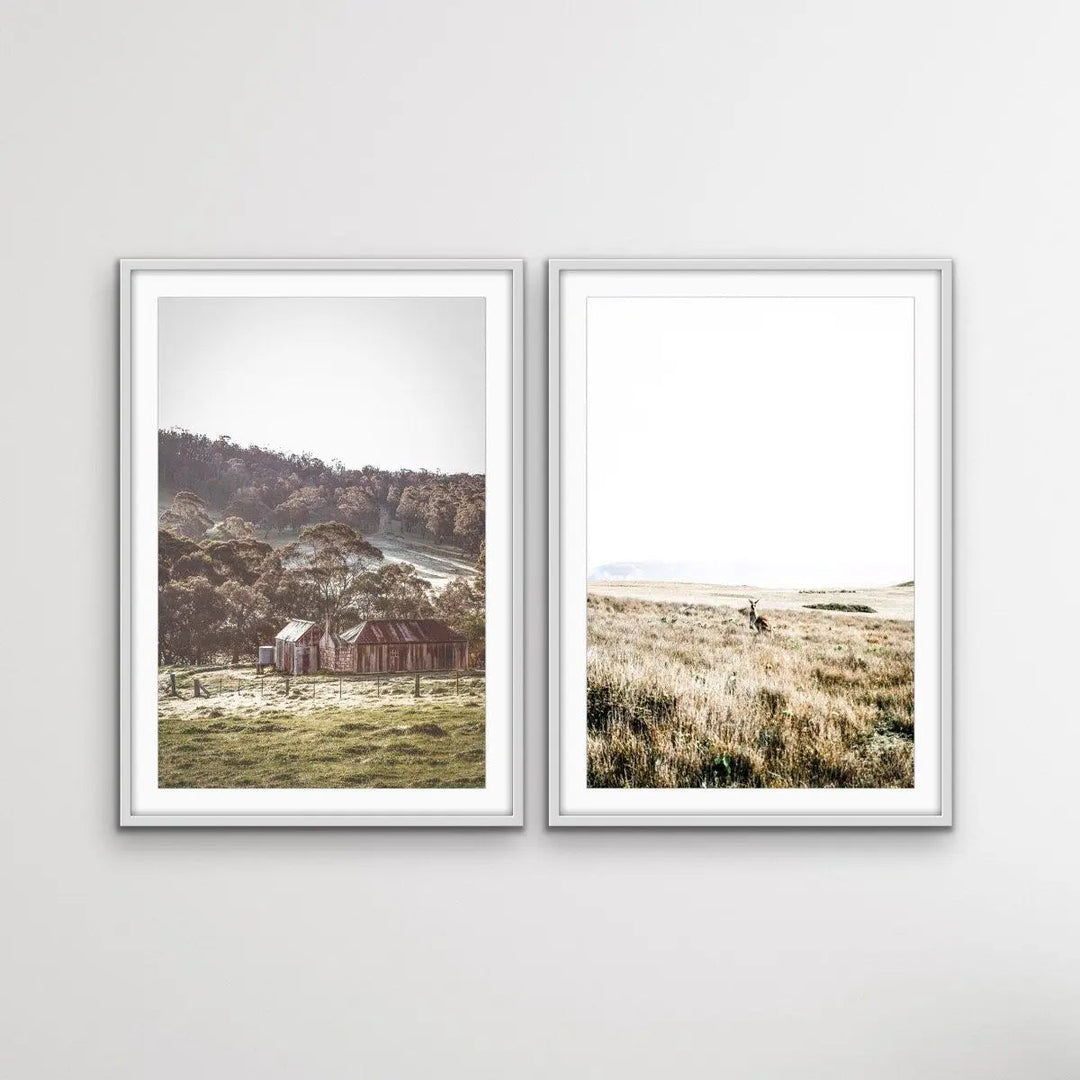 Blue Mountains and Kangaroo Wild - Two Piece Photographic Art Print Set Diptych - I Heart Wall Art - Poster Print, Canvas Print or Framed Art Print
