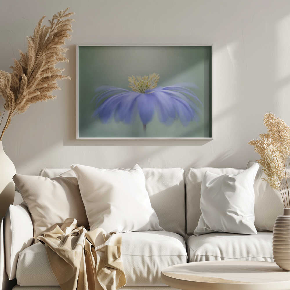 Blue Petals - Floral Photographic Stretched Canvas Poster or Fine Art Print
