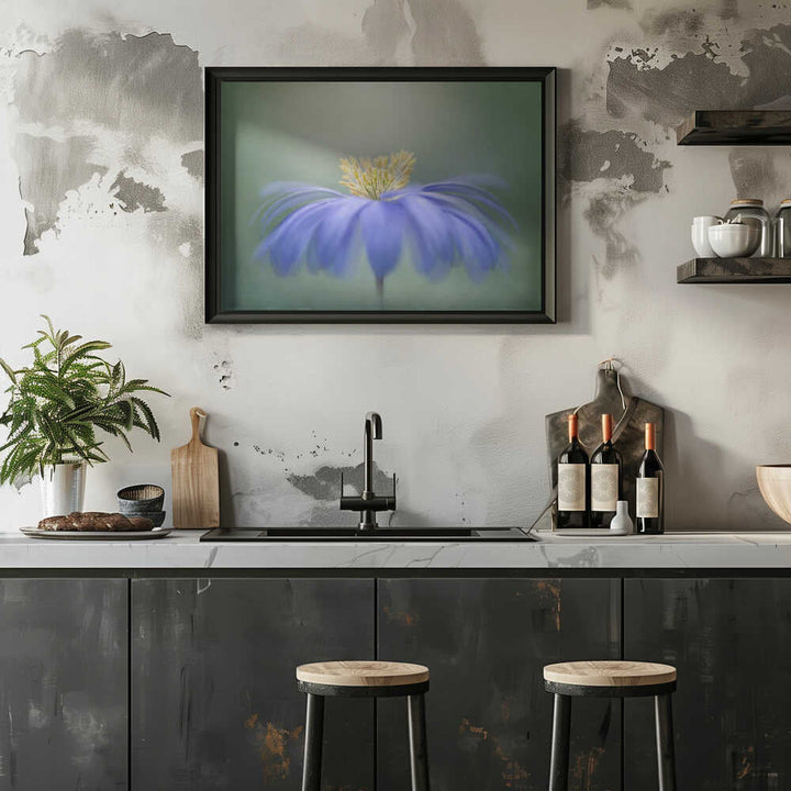 Blue Petals - Floral Photographic Stretched Canvas Poster or Fine Art Print