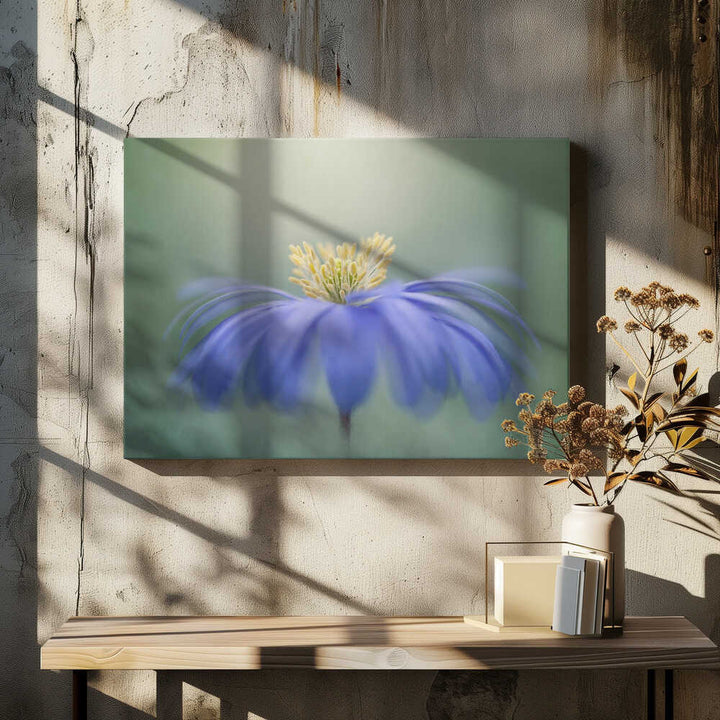 Blue Petals - Floral Photographic Stretched Canvas Poster or Fine Art Print