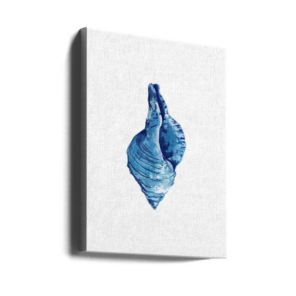 Blue Seashell On White Background No3 - Stretched Canvas, Poster or Fine Art Print - I Heart Wall Art - Poster Print, Canvas Print or Framed Art Print