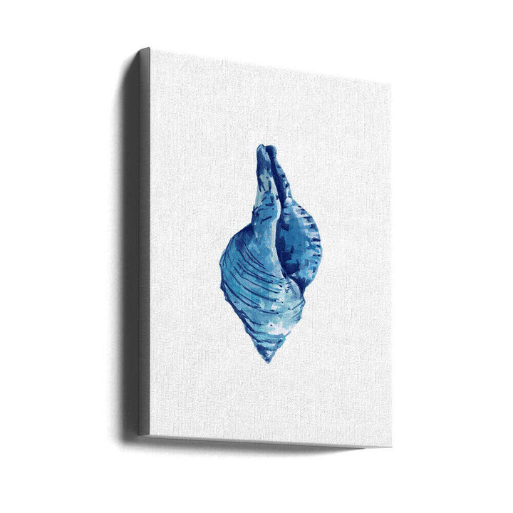 Blue Seashell On White Background No3 - Stretched Canvas, Poster or Fine Art Print - I Heart Wall Art - Poster Print, Canvas Print or Framed Art Print