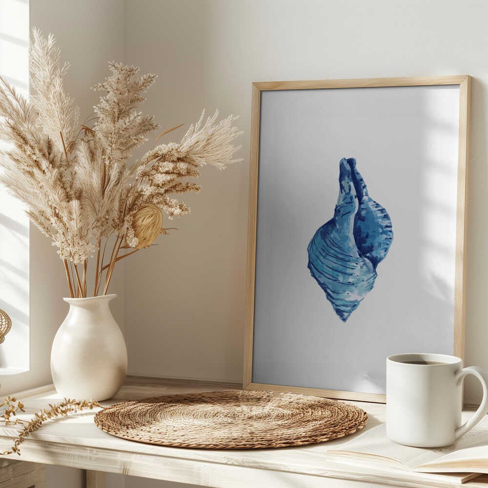 Blue Seashell On White Background No3 - Stretched Canvas, Poster or Fine Art Print - I Heart Wall Art - Poster Print, Canvas Print or Framed Art Print