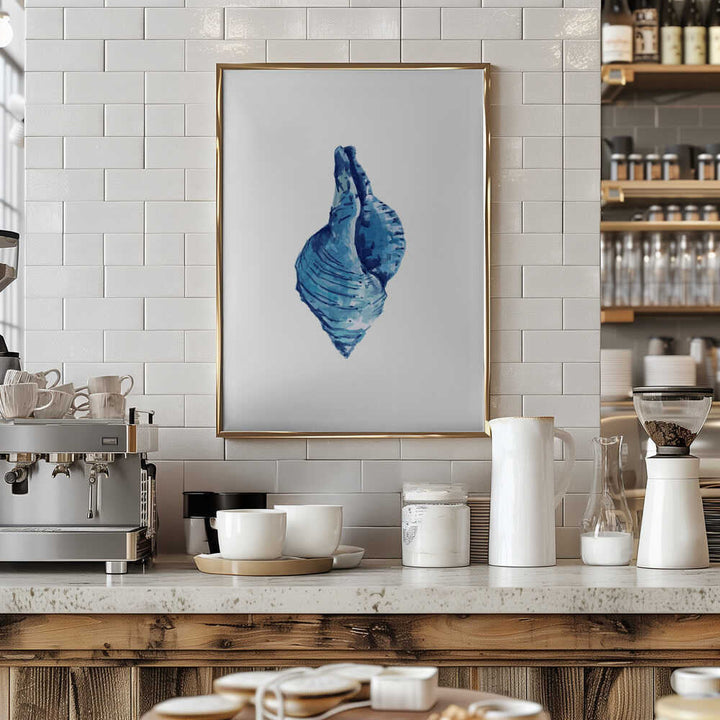 Blue Seashell On White Background No3 - Stretched Canvas, Poster or Fine Art Print - I Heart Wall Art - Poster Print, Canvas Print or Framed Art Print