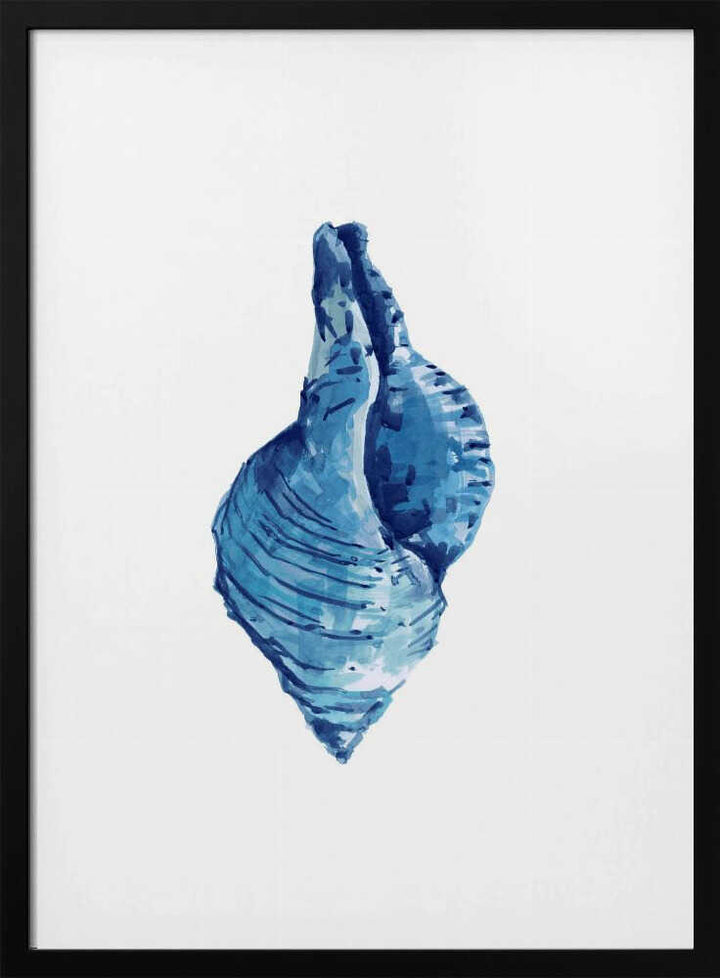 Blue Seashell On White Background No3 - Stretched Canvas, Poster or Fine Art Print - I Heart Wall Art - Poster Print, Canvas Print or Framed Art Print