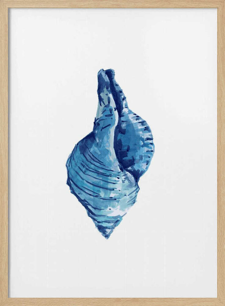Blue Seashell On White Background No3 - Stretched Canvas, Poster or Fine Art Print - I Heart Wall Art - Poster Print, Canvas Print or Framed Art Print