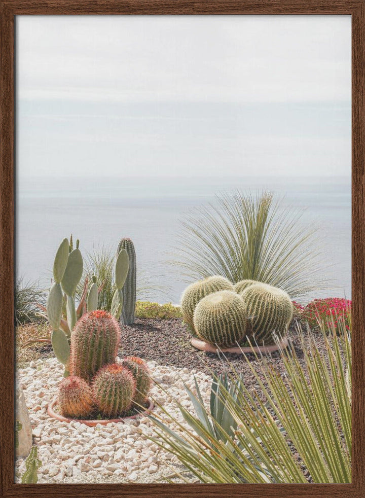 Botanical Garden - Stretched Canvas, Poster or Fine Art Print I Heart Wall Art