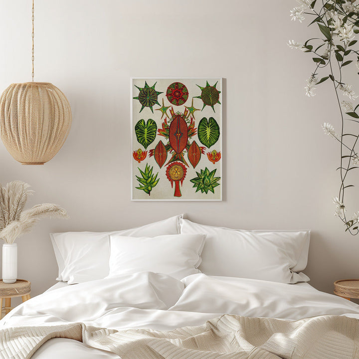 Botanical Invention - Stretched Canvas, Poster or Fine Art Print I Heart Wall Art