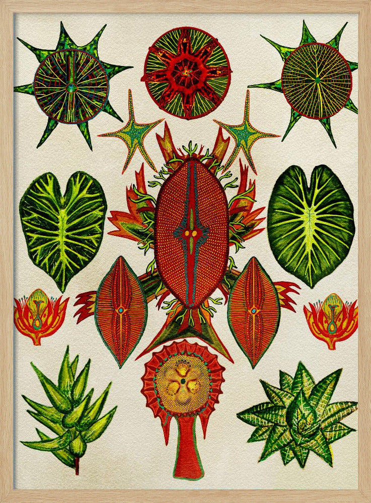 Botanical Invention - Stretched Canvas, Poster or Fine Art Print I Heart Wall Art