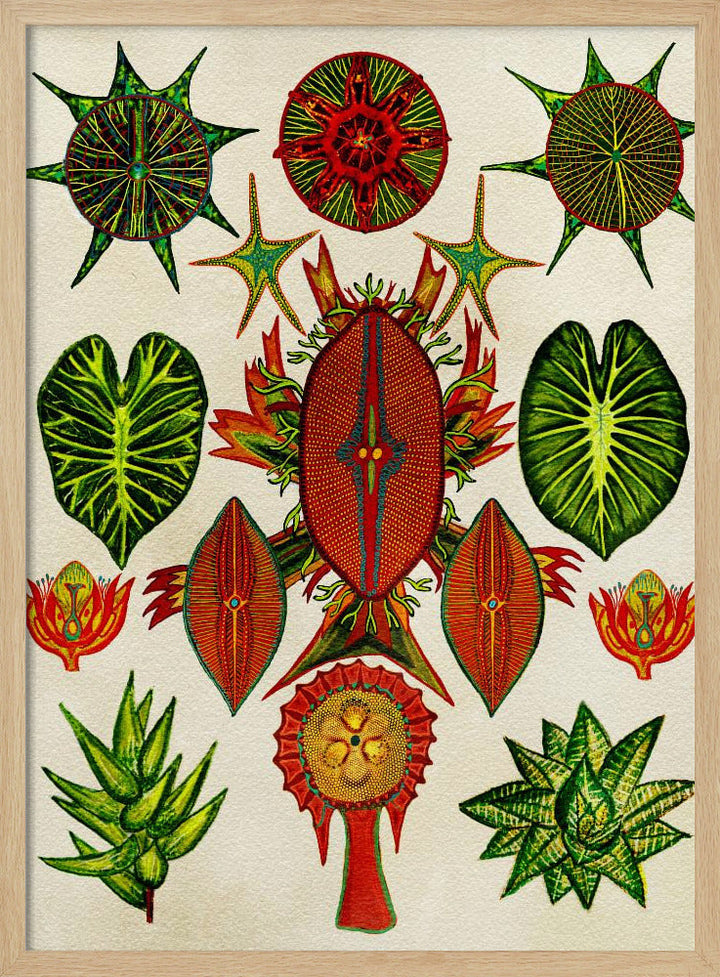 Botanical Invention - Stretched Canvas, Poster or Fine Art Print I Heart Wall Art