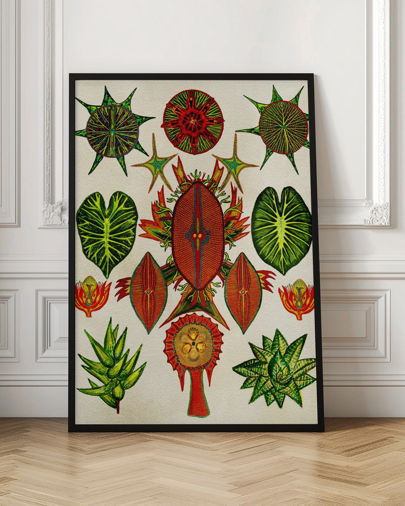 Botanical Invention - Stretched Canvas, Poster or Fine Art Print I Heart Wall Art