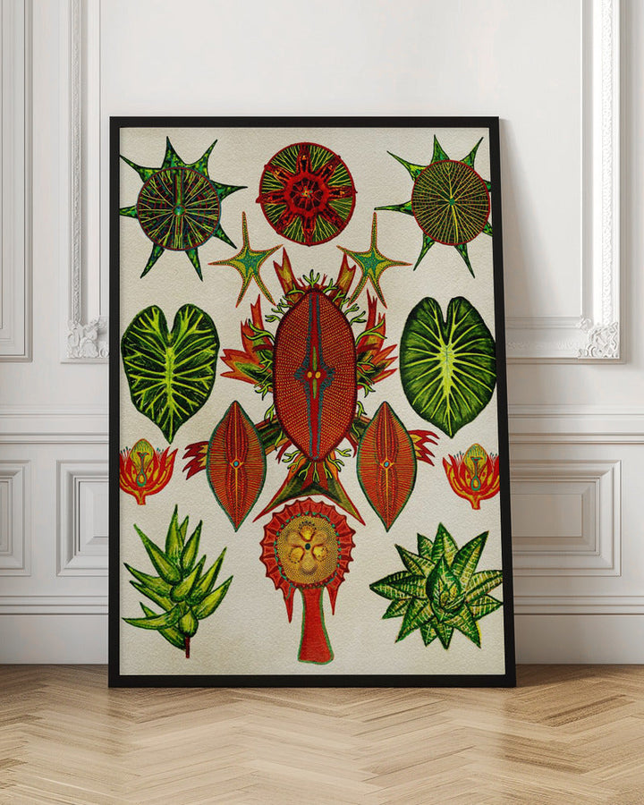 Botanical Invention - Stretched Canvas, Poster or Fine Art Print I Heart Wall Art