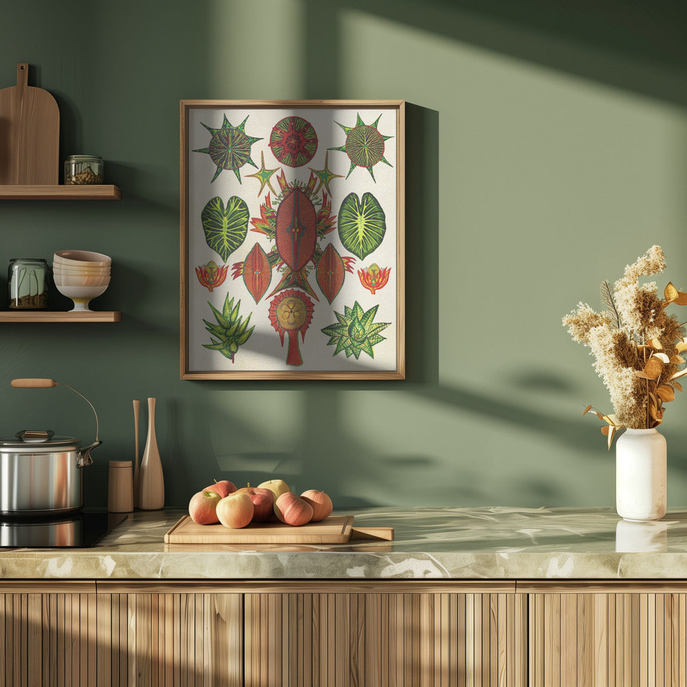 Botanical Invention - Stretched Canvas, Poster or Fine Art Print I Heart Wall Art