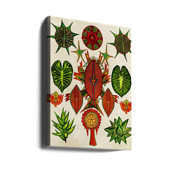 Botanical Invention - Stretched Canvas, Poster or Fine Art Print I Heart Wall Art
