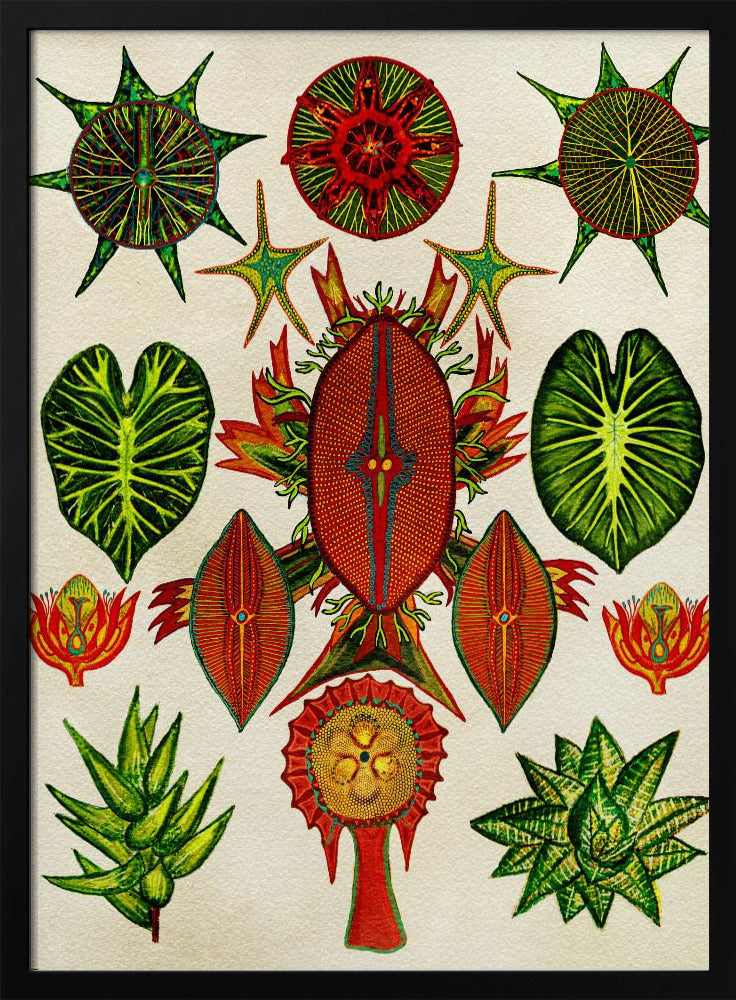 Botanical Invention - Stretched Canvas, Poster or Fine Art Print I Heart Wall Art