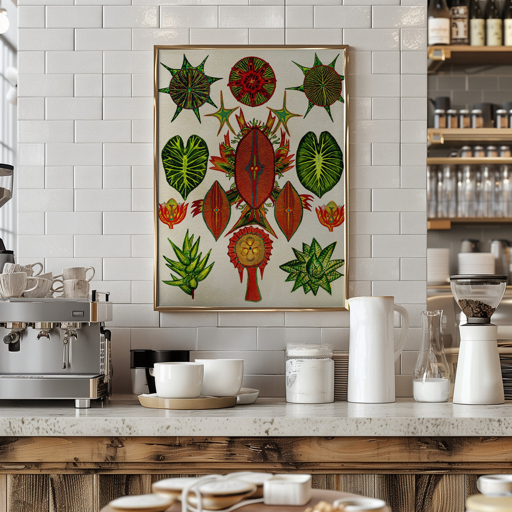 Botanical Invention - Stretched Canvas, Poster or Fine Art Print I Heart Wall Art