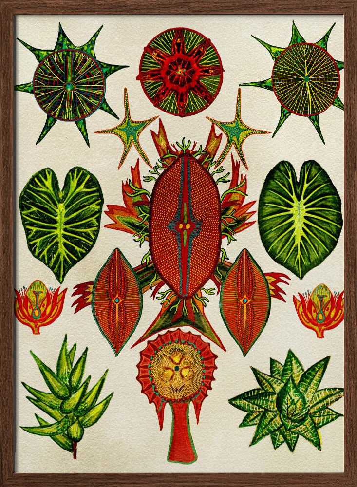 Botanical Invention - Stretched Canvas, Poster or Fine Art Print I Heart Wall Art