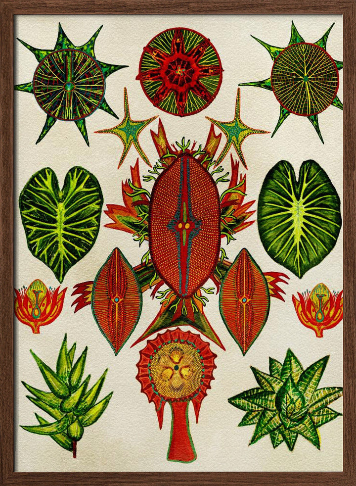 Botanical Invention - Stretched Canvas, Poster or Fine Art Print I Heart Wall Art