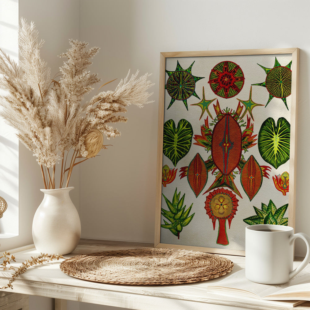Botanical Invention - Stretched Canvas, Poster or Fine Art Print I Heart Wall Art