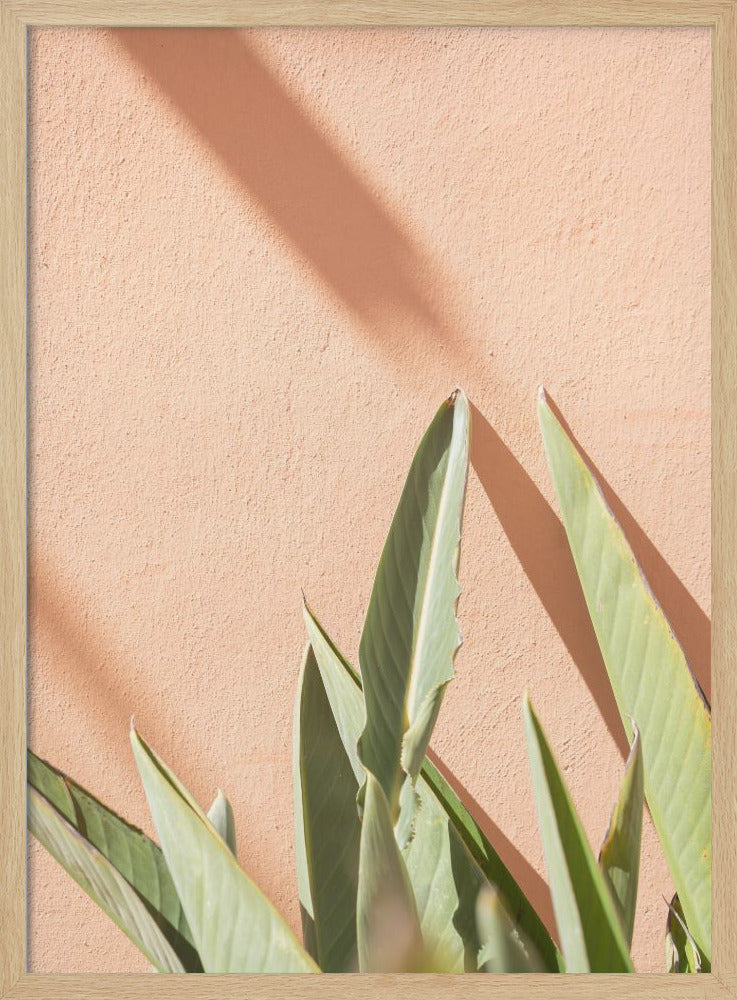 Botanical Pastels - Stretched Canvas, Poster or Fine Art Print I Heart Wall Art