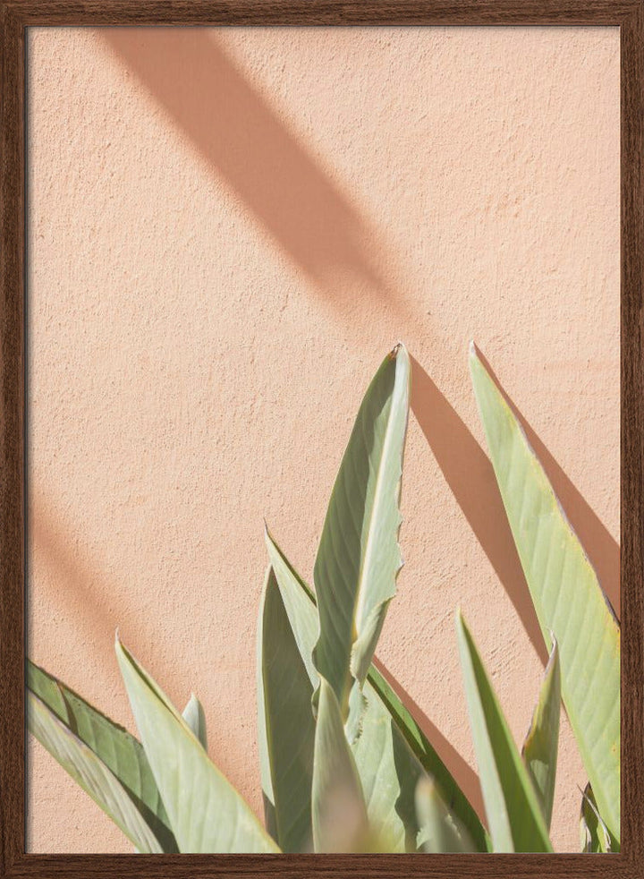 Botanical Pastels - Stretched Canvas, Poster or Fine Art Print I Heart Wall Art